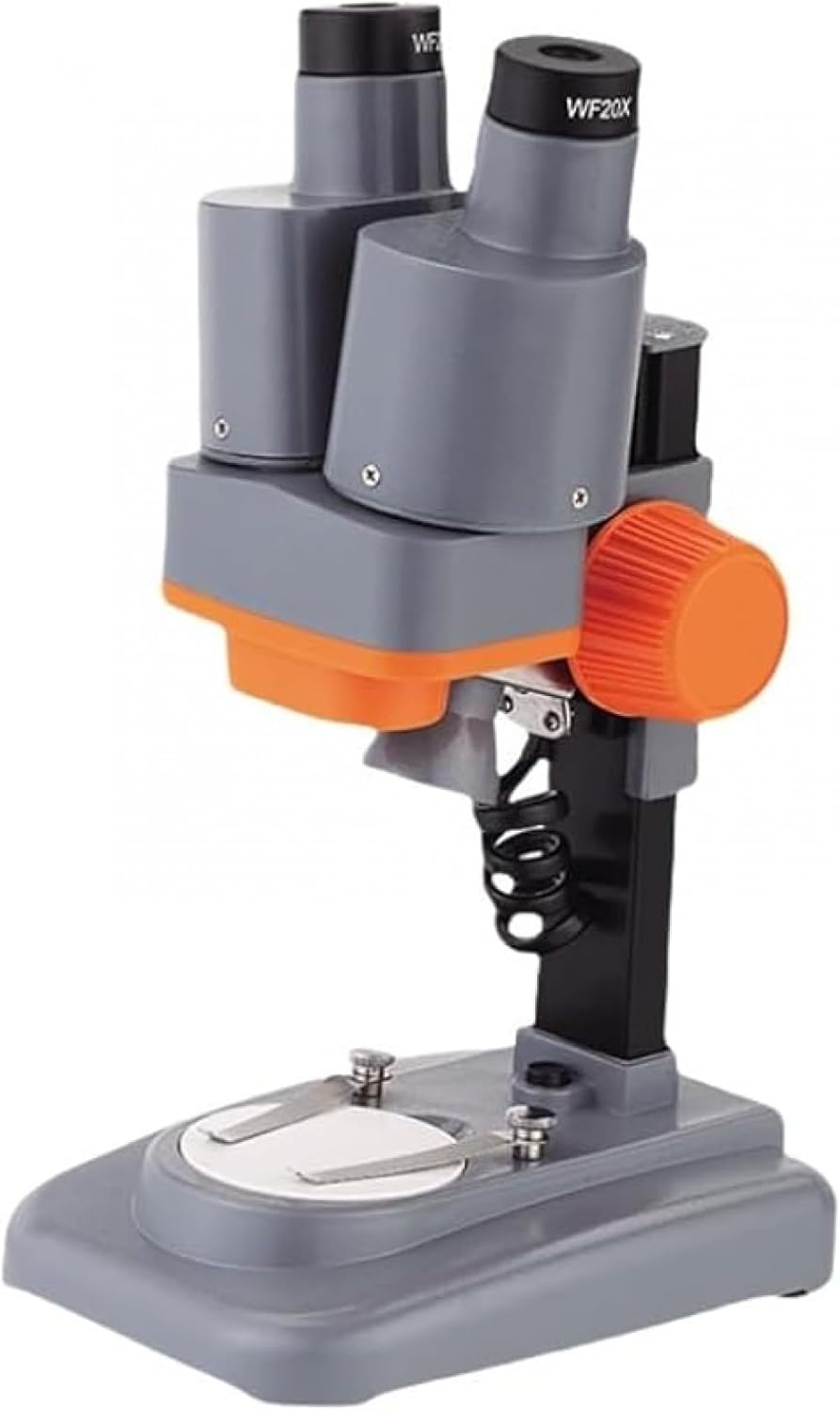 果実を成らして楽しめる ナツメ 505 樹高H1.2位 栄養満点 健康食品